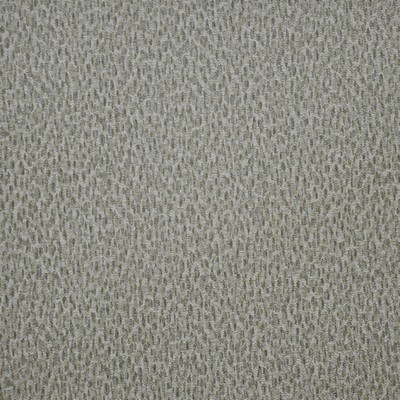 Maxwell Fabrics SPOTLIGHT                      250 COWRIE             