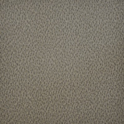 Maxwell Fabrics SPOTLIGHT                      257 BARK               