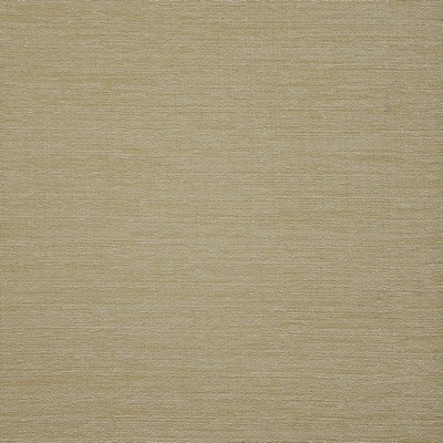 Maxwell Fabrics STEFANO                        # 125 SAND               