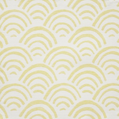 Maxwell Fabrics SUNRISE BAY                    # 426 MELLOW             