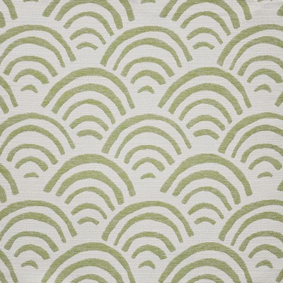 Maxwell Fabrics SUNRISE BAY                    # 428 FERN               
