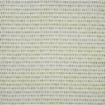 Maxwell Fabrics SEMAPHORE                      # 429 APPLE              