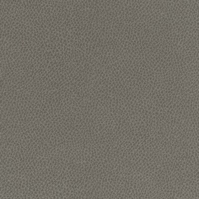 Maxwell Fabrics SCENE # 702 STINGRAY