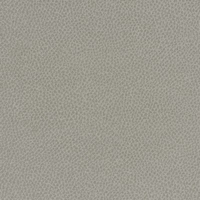 Maxwell Fabrics SCENE # 713 MIST