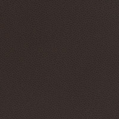 Maxwell Fabrics SCENE # 723 COCOA