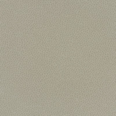 Maxwell Fabrics SCENE # 737 CRATER