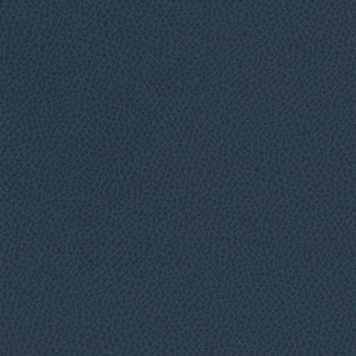 Maxwell Fabrics SCENE # 761 ADMIRAL