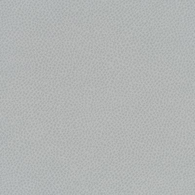 Maxwell Fabrics SCENE # 785 NEBULOUS