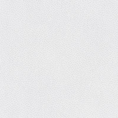 Maxwell Fabrics SCENE # 789 ICEBERG