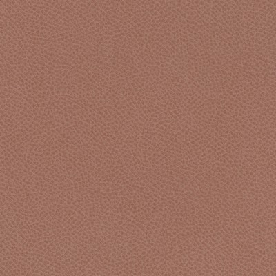 Maxwell Fabrics SCENE # 795 PEONY