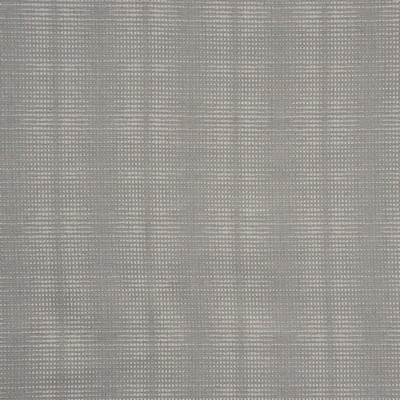 Maxwell Fabrics SPEEDWELL # 664 COIN