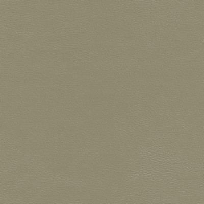 Maxwell Fabrics SHAW-NJ # 785 METAL