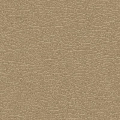 Maxwell Fabrics SPIRE-NJ # 1193 LATTE