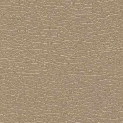 Maxwell Fabrics SPIRE-NJ # 1196 EDO