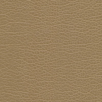 Maxwell Fabrics SPIRE-NJ # 1199 BIRCH