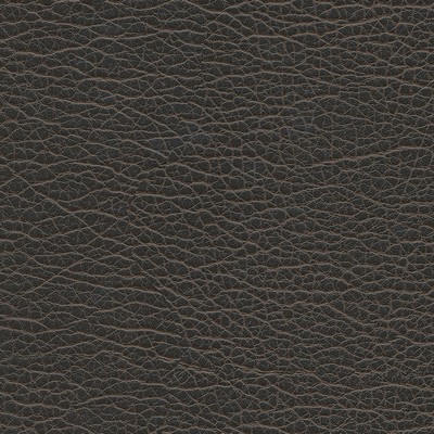 Maxwell Fabrics SPIRE-NJ # 1202 GRAPHITE