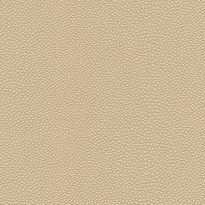 Maxwell Fabrics STINGRAY-NJ # 1064 SAND DOLLAR