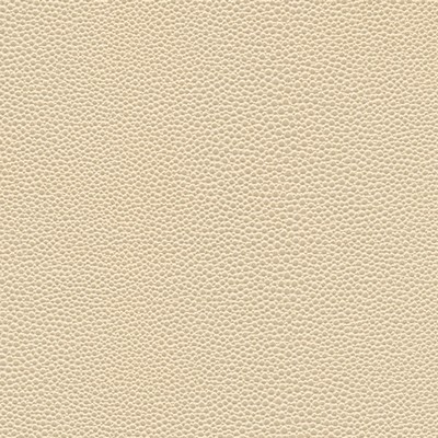 Maxwell Fabrics STINGRAY-NJ # 1067 SEASHELL