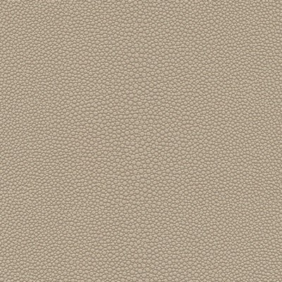 Maxwell Fabrics STINGRAY-NJ # 1071 PUDDING
