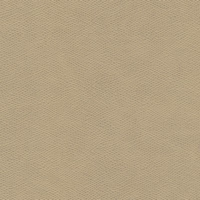 Maxwell Fabrics SURABAYA-NJ # 663 ARCHIVE