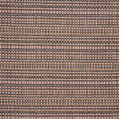 Maxwell Fabrics SEMILLON 820 PINK PANTHER