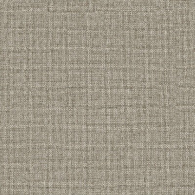 Maxwell Fabrics SLOGAN # 934 PEPPER