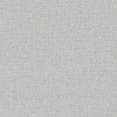 Maxwell Fabrics SLOGAN # 982 BIRCH