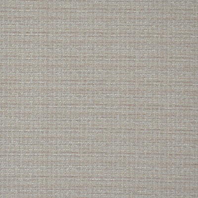 Maxwell Fabrics TERRAIN                        809 DAINTY             