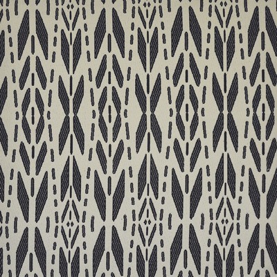 Maxwell Fabrics TO AND FRO                     811 ONYX               