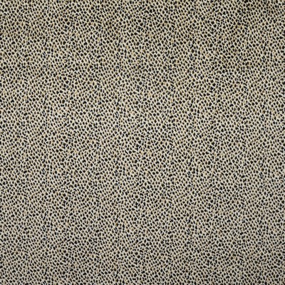 Maxwell Fabrics TANZANIA                       128 MOWGLI             