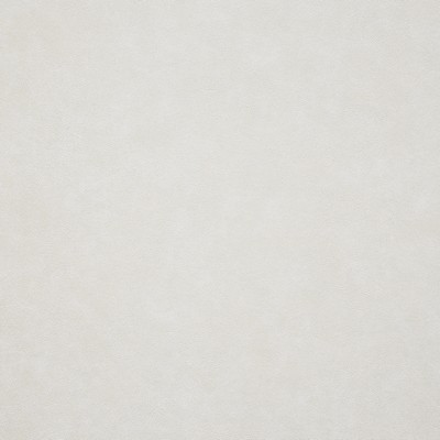 Maxwell Fabrics TARO                           # 210 MACADAMIA          