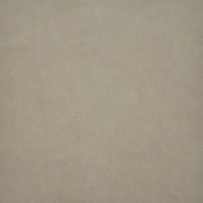 Maxwell Fabrics TARO                           # 217 JUTE               