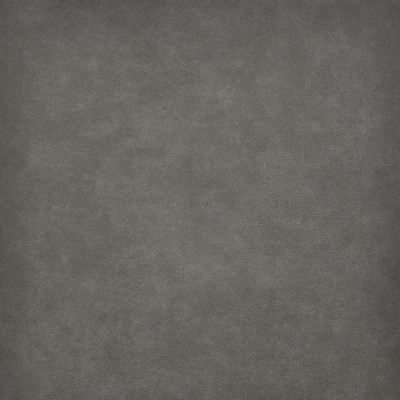 Maxwell Fabrics TARO                           # 223 THOROUGHBRED       