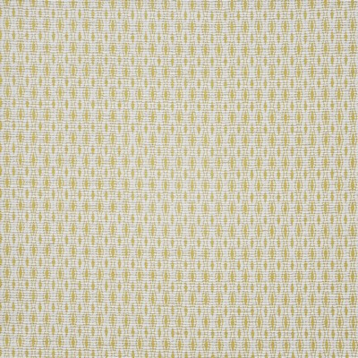 Maxwell Fabrics TRISECTOR                      # 818 POPCORN            