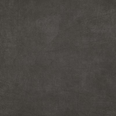 Maxwell Fabrics TITUS                          # 10 LIQUORICE           