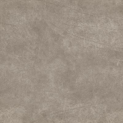 Maxwell Fabrics TITUS                          # 18 STUCCO              