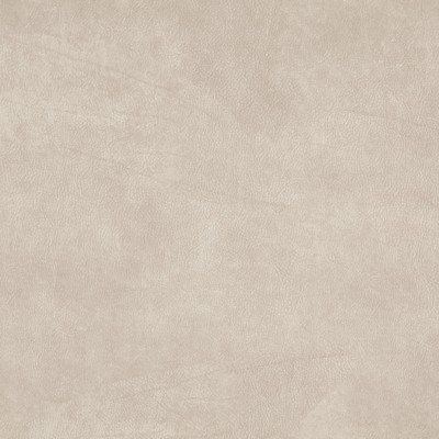 Maxwell Fabrics TITUS                          # 24 CLOUD               