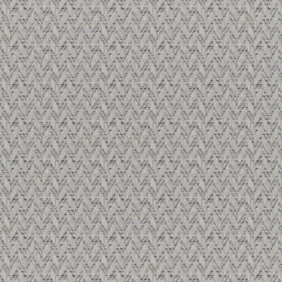 Maxwell Fabrics TIERRA # 244 STORMY