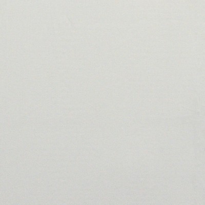 Maxwell Fabrics TAMAR # 423 GOOSE