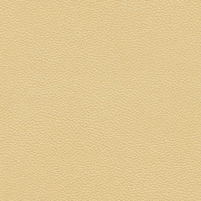 Maxwell Fabrics TANNERY-NJ # 101 SAND