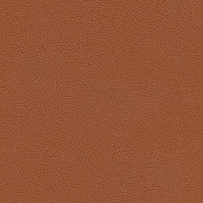 Maxwell Fabrics TANNERY-NJ # 102 TAWNY