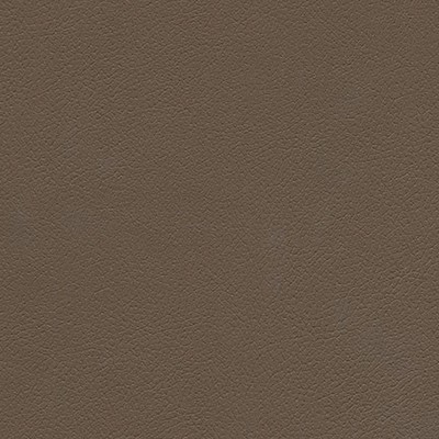 Maxwell Fabrics TANNERY-NJ # 103 GROUND