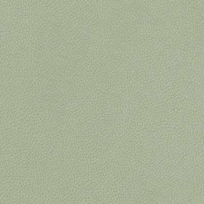 Maxwell Fabrics TANNERY-NJ # 115 SPRIG