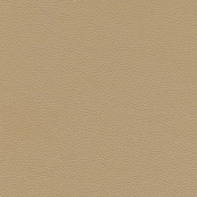 Maxwell Fabrics TANNERY-NJ # 119 ALDER