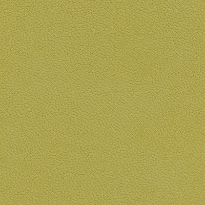 Maxwell Fabrics TANNERY-NJ # 121 OASIS