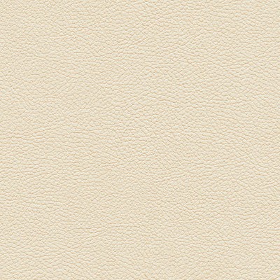 Maxwell Fabrics TANNERY-NJ # 124 BUFF