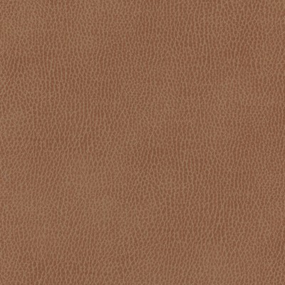 Maxwell Fabrics TOP GRAIN-NJ # 839 ARABIAN