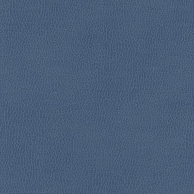 Maxwell Fabrics TOP GRAIN-NJ # 843 SEA BED