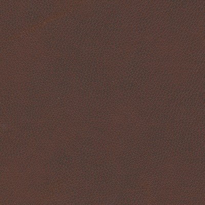 Maxwell Fabrics TOP GRAIN-NJ # 847 HACKNEY