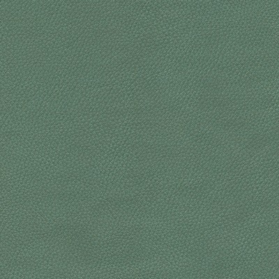 Maxwell Fabrics TOP GRAIN-NJ # 859 SPRUCE